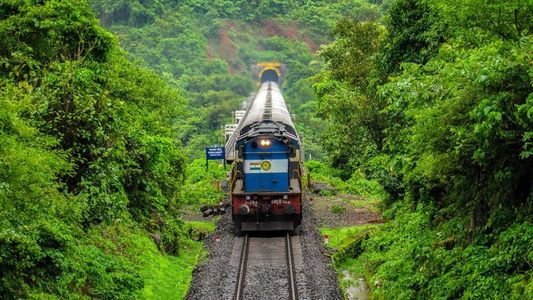 Explore Nature’s Paradise with Our Best Coorg Tour Packages
