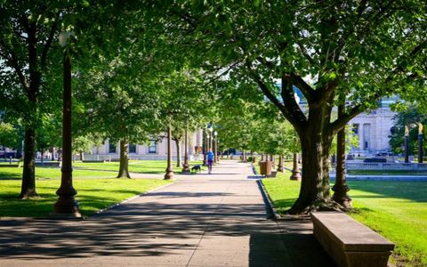 Wildlife Adventures in Ethiopia’s National Parks