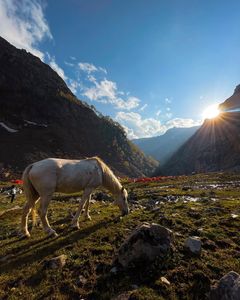 Top 7 Budget-Friendly Treks in India for Beginners