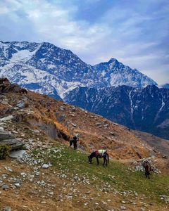 Trekking with Family: Beginner-Friendly Mountain Trails in India