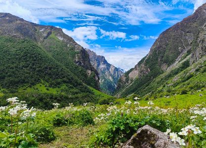 Ultimate Guide to Valley of Flowers National Park, Uttarakhand, India