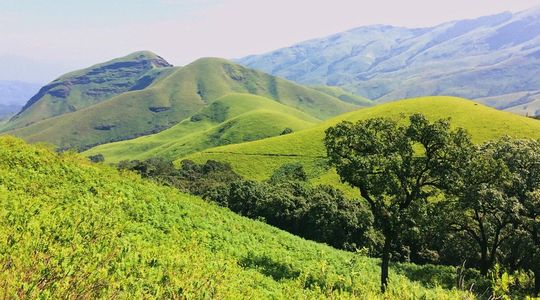 Green Escape: Discover Nature’s Serenity at Kudremukh National Park