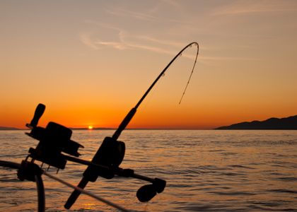 Florida Keys Fishing Seasons: What's Biting When (and Where!) in 2025