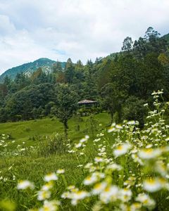 Explore the Stunning Beauty of Uttarakhand: Top 10 Must-Visit Destinations