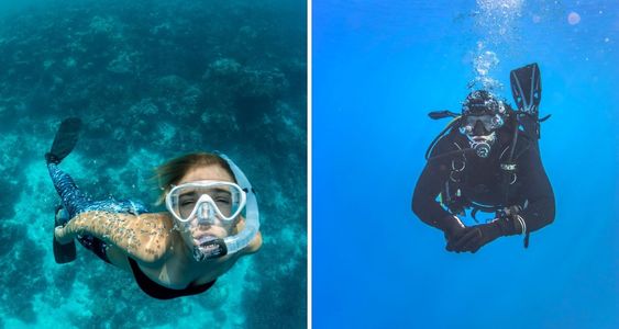 Beneath the Arabian Waves: Scuba Diving Adventures in Gokarna
