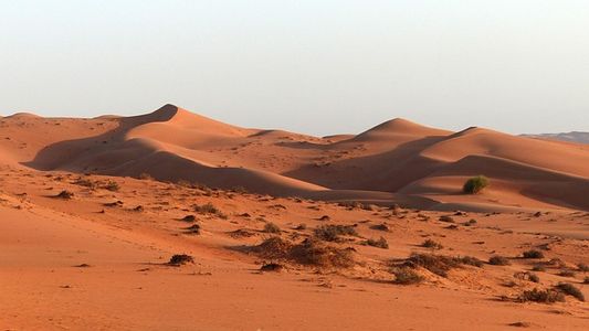 The Impact of Travel on Personal Growth: Stories from Around the World