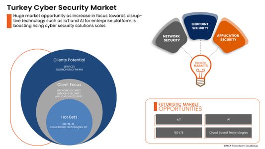 Turkey Cyber Security Market Growth, Government Regulations and Threat Response