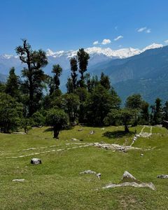 Top 10 High Altitude Grasslands to Visit in India