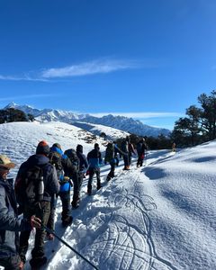 Brahmatal Trek Package - Complete Itinerary & Safety Tips