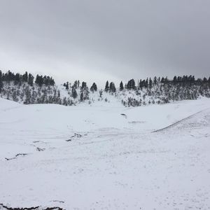 Dayara Bugyal Trek Package - Itinerary, Cost, Difficulty & Best Time