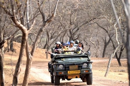 Into the Wild: Discover the Thrill of The Jhalana Leopard Safari
