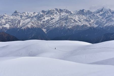 Dayara Bugyal Trek Uttarakhand - Itinerary, Cost, Difficulty & Best Time