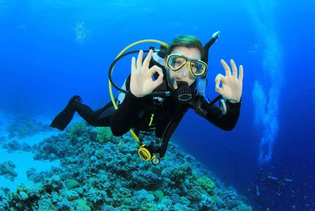 Beneath the Waves: Scuba Diving Adventures in Gokarna