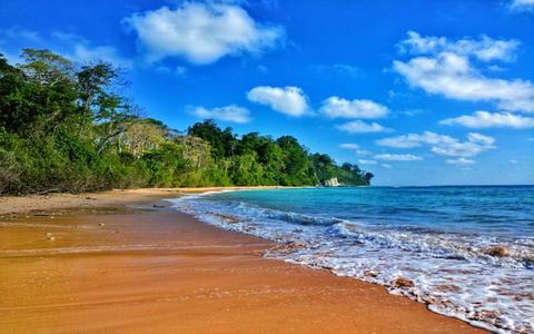 Top 10 Andaman Adventures for Water-Lovers