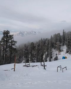 Best Winter Treks in Uttarakhand: Snowy Trails You Can’t Miss This Season