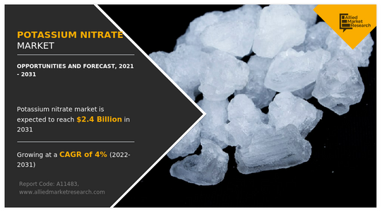 Potassium Nitrate Industry Insights 2030: Demand Trends & Global Expansion