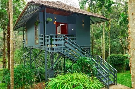 A Perfect 3-Day Wayanad Itinerary: Waterfalls, Wildlife, and Wonders