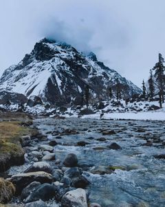 How Har Ki Dun Trek Compares in Difficulty to Other Beginner Treks