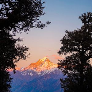Kuari Pass vs Other Himalayan Treks – Which One Should You Choose?