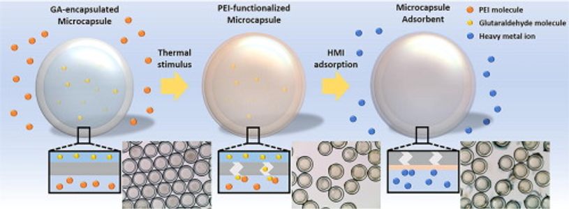 Global Polymeric Adsorbents Market Poised for Strong Growth, Driven by Industrial and Environmental