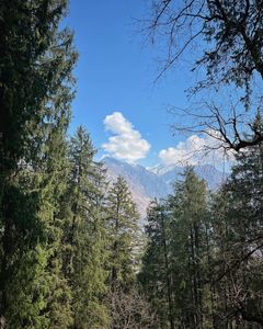 Planning a Memorable Family Adventure on the Kuari Pass Trek