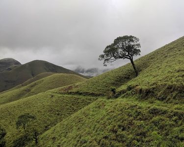 15 Best Treks in India for Nature Lovers and Photographers