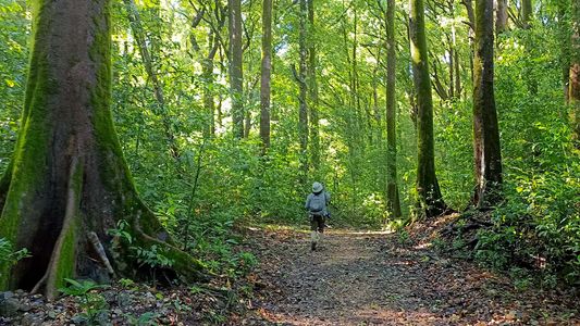 Kudremukh Trek – Walking Through the Rolling Green Hills of Karnataka