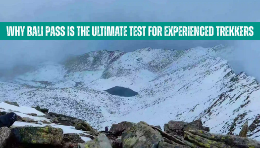 Why Bali Pass Is the Ultimate Test for Experienced Trekkers