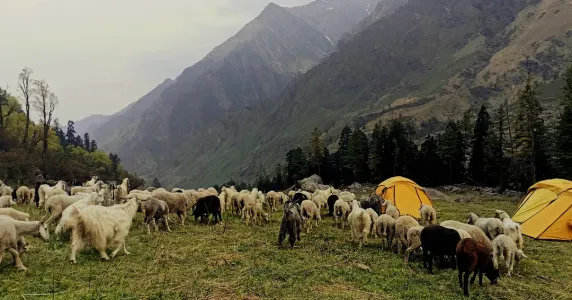 Top 5 Campsites With the Best Mountain Backdrops