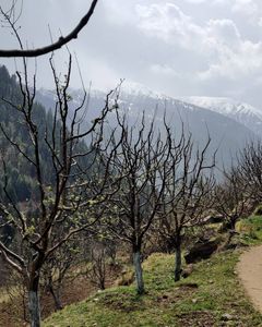 Manali Trekking Adventures: 5 Unforgettable Trails for Every Hiker