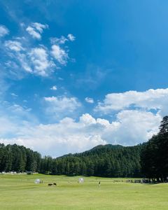 Top 5 Himalayan Meadows for Families in India