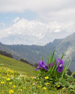 Top Easy Treks in Uttarakhand That Even Kids Can Enjoy
