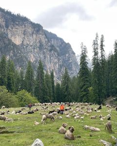 Manali’s Best Kept Secrets: Top 5 Treks You Need to Try