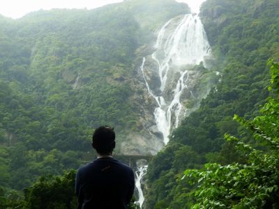 Chasing the Sea of Milk: A Journey Through the Dudhsagar Trek