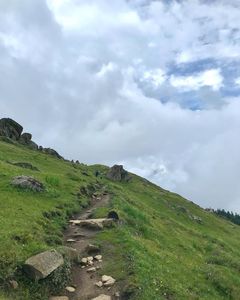 Gorson Bugyal Trek A Himalayan Meadow Near Auli That Blends Adventure Serenity and Breathtaking View