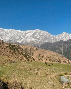 Top 5 Easy to Moderate Treks in Himachal That Promise Stunning Views