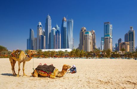 Apply for a Dubai Visa Online and Check Your Status in Minutes