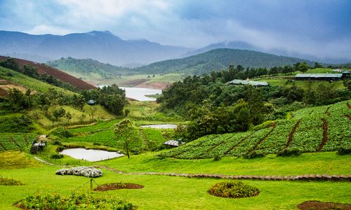 3 Days Ooty Tour Package: A Perfect Escape to the Queen of Hill Stations