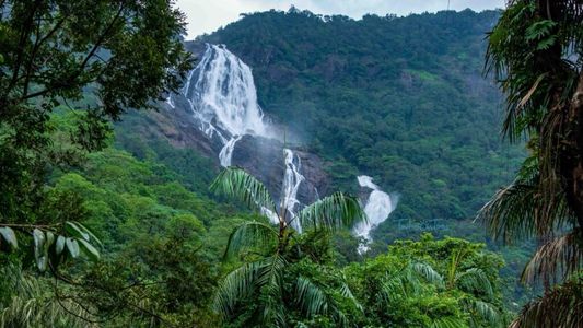 Dudhsagar Trek: Walking the Trails to Goa’s Sea of Milk