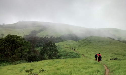 Tadiandamol Trek: Walking Through the Clouds of Coorg