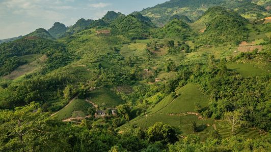 Kudremukh National Park: Where Rolling Hills Meet Rich Wildlife