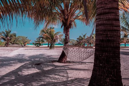 Discover Your First Waves: Top Vacation Spots for Beginner Surfers in Latin America