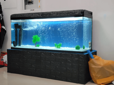 The Ultimate Guide to a 100-Gallon Fish Tank: Uses, Advantages, and Disadvantages