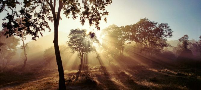 Kodachadri Trek: Walking Through the Mystical Hills of Karnataka