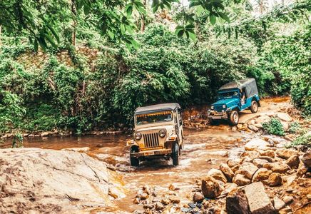 Riding the Trails: Experience the Thrill of Mandalpatti Jeep Safari