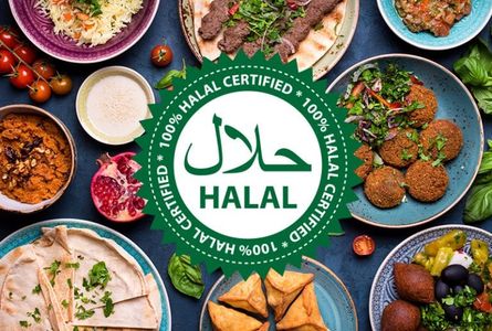 Halal Doner Kabab: The Ultimate Choice for Halal Restaurants and Fast Food