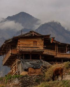 Exploring Himalayan Village Life on the Har Ki Dun Trek