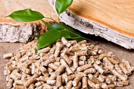 Biomass Pellets for Brick Kilns – A Cleaner Energy Choice by Ecostan Biofuel