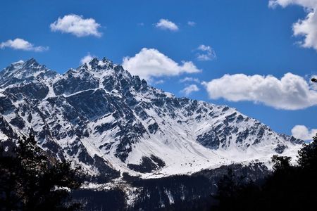 Kuari Pass Winter Trek Ideal for Beginners Loved by Pros