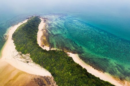 Coronavirus-Themed Burgers in Vietnam & Top Hotels in Mong Cai